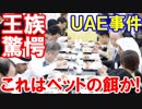 【ＵＡＥ王族が韓国料理を見た瞬間がすごい】 これは、これはなんだ！ペットの餌なのか！