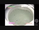 【新作】QVC福島　モコモコ泡クリーナー　ヒゲグマver
