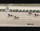 2018年3月31日佐賀競馬5R ウマ娘 プリティーダービー製作委員会協賛 ウマ娘 ヒット祈願レース！(C2-8組) ステッドファスト