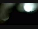 Blurred Bokeh Video　高橋貴子