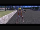 ホモと見るVRChat in a nutshell