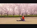 【けーた】打上花火【踊ってみた】