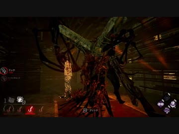 ぼっちナース（rank1）vs　サバイバー　２DS　＋　おまけ試合