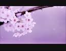 [弾き語り]　さくら　[歌ってみた]
