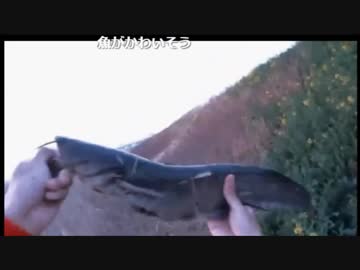 4.03 【魚釣り】宮城県・ルアーで雷魚釣り