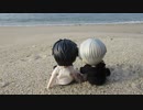 唐津の海と師弟とKamome