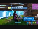 チーミング潰して10キルドン勝【Fortnite実況】