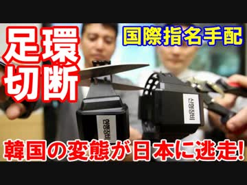 【韓国の変態男性が日本に逃走】電子足輪を切断して日本へ入国！ＩＣＰＯ赤手配者を見たら通報よろしく！