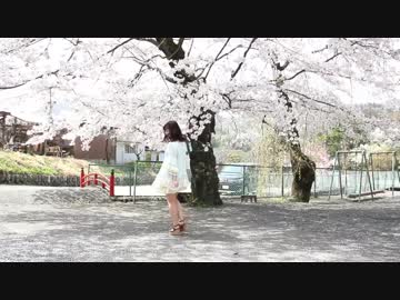 【ちゅん ちゅん】桜チラリ【踊ってみた】