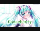 Gooseberry