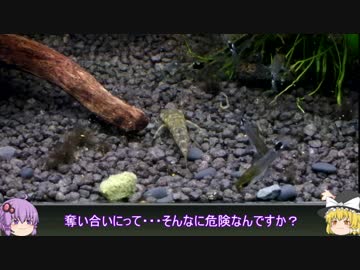 【水底計画】 part1「臆病なオトシンと食事のはなし」