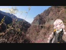 あかりちゃんと行く、のんびりツーリング【part5】撮影テスト編♯５