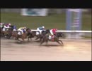 2018年4月4日川崎競馬10R 花衣（はなごろも）特別(B1-二・B2-一) セイジーニアス