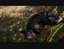 【FARCRY5】 クマ VS イヌ&ネコ