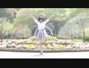 【ちぃ汰】 ハルイチ。 をいつまでも変わらぬ体型と笑顔で、踊ってみた 【７周年☆】