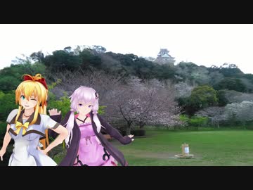 大洗凸＆お花見ツー（後編）【VoiceRoid車載】