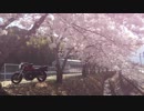 Motovlog的DTC #41　Riding in spring 2018 ①