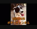 ボギー大佐の言いたい放題　2018年04月05日　21時頃　放送分