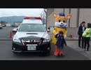奈良県警のマスコットキャラクター＜ナポくん・ナポちゃん＞と記念撮影をするあい！パトカー　お出かけ❤婦人警官　なりきり