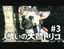 【実況】人喰いの大鷲トリコ 実況風プレイ　part3