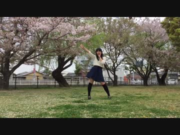 【初投稿】バタフライ・グラフィティ 踊ってみた 【ともか】【誕生日】