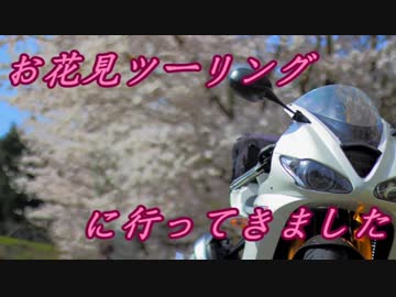 お花見ツーリングに行ってきました【ゆっくり車載 part 27】