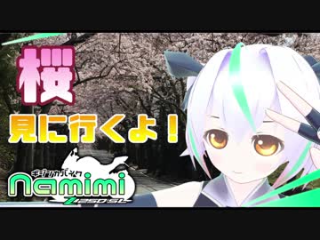 【バーチャルツーリング】#1 桜を見に行こう！【NaMiMi】