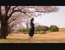 【オリジナル振付】花降らし　踊ってみた【ひばり】
