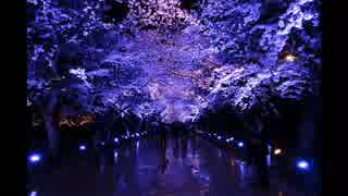 春の長旅2018・1日目 ～ 新潟