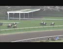 2018年　第61回 阪神牝馬S（GⅡ）【ミスパンテール】