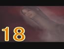 【SIREN2】絶望の淵から再び脱出する実況【２人実況】part18
