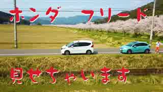 【新車購入】ホンダ フリードの内装見せちゃいます！Honda FREED Review 開封動画