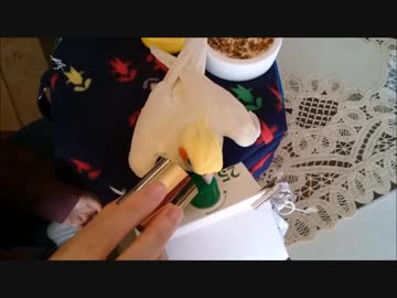 2017年秋の闘病生活を何となく振り返る