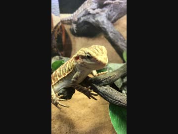お辞儀してます