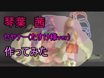 セリアの造形粘土でいろんなキャラクター作り(セヤナー編)