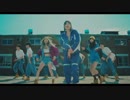 【K-POP】EXID (이엑스아이디) - 내일해 (LADY) [Performance Video]
