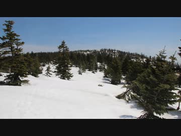 日本三百名山に登ってみた83　猿ヶ馬場山編