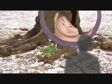 花見に行く先輩