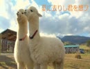 【アキト】夏に去りし君を想フ 【踊ってみた】