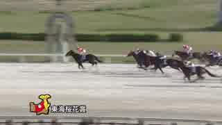 第58回東海桜花賞 カツゲキキトキト