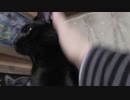 【Jean & Pont 969】ラブくん卒業前夜の思い出作り