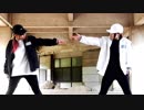 【ちゅん×なすっこ】ヒバナ【踊ってみた】