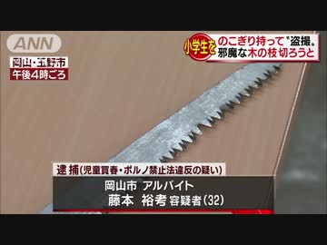 ノコギリ持って児童を盗撮か　「邪魔な枝切るため」