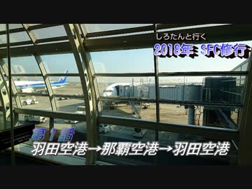 しろたんと行く　2018年ＳＦＣ修行　国内２月場所編　その１