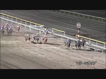 2018年　第22回 マリーンC（JpnⅢ）【アンジュデジール】