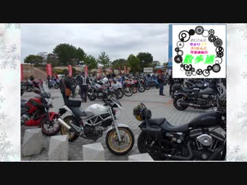 おじさんとゆかりマキきりたんと琴葉姉妹の散歩道(散歩之十)