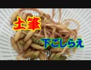 土筆下ごしらえ