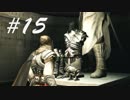 遂にアルタイルの装備揃えましたぜ！ -Assassin's CreedⅡ- #15