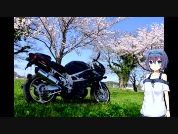 TLといっしょ～茨城の桜事情～　前編