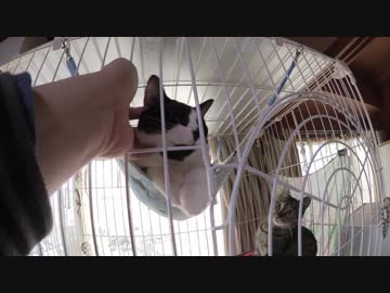 【Jean &amp; Pont 971】ラブくん卒業で感傷に耽る間も無く次の連絡が！